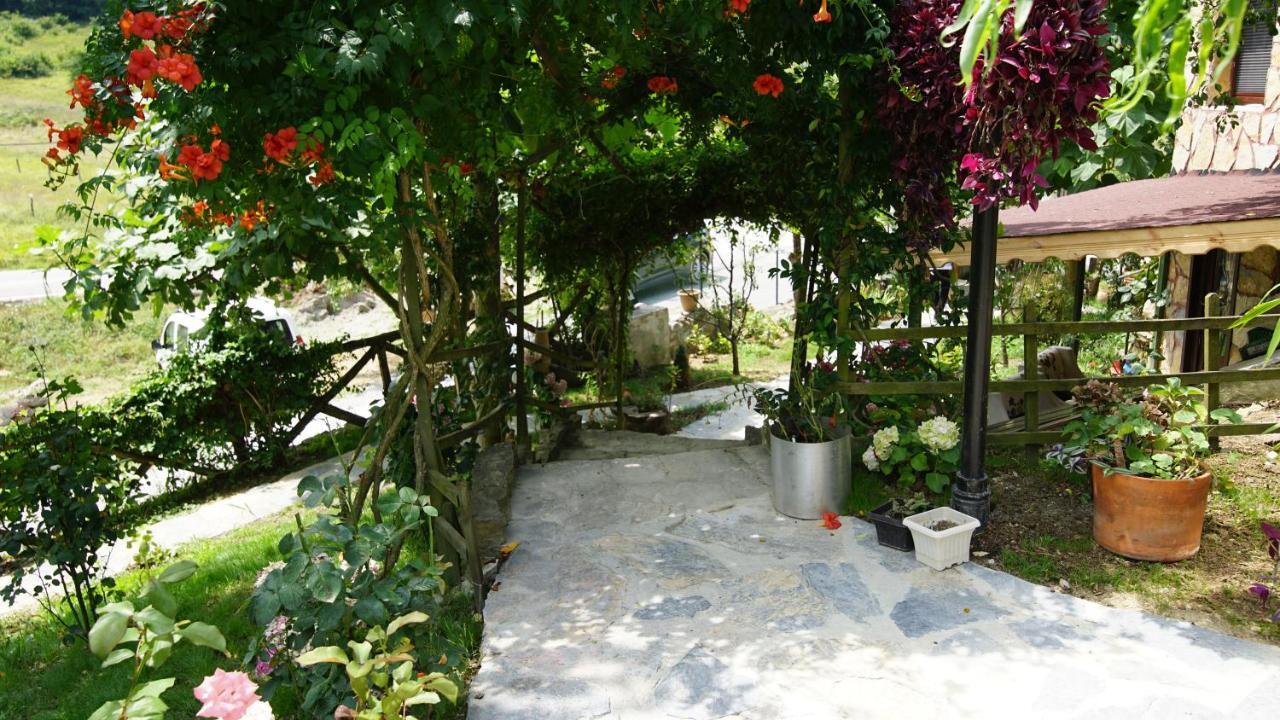 Castle Nolana Hotel Geredeli Ngoại thất bức ảnh