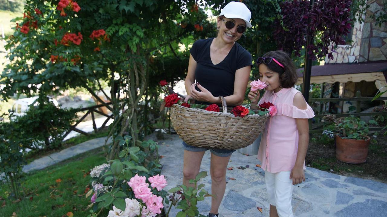 Castle Nolana Hotel Geredeli Ngoại thất bức ảnh